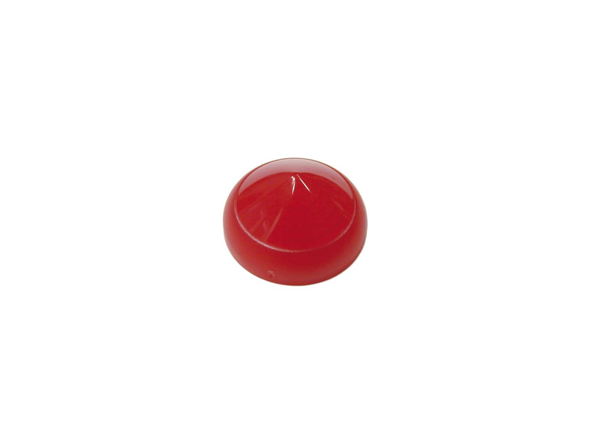 Linse ETN RMQ hoch rot