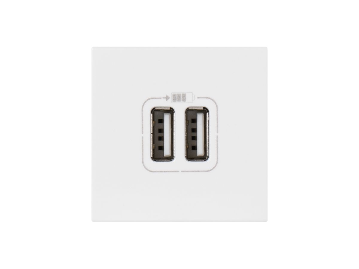 USB-Ladesteckdose MOS 2 Module, 1-fach weiss