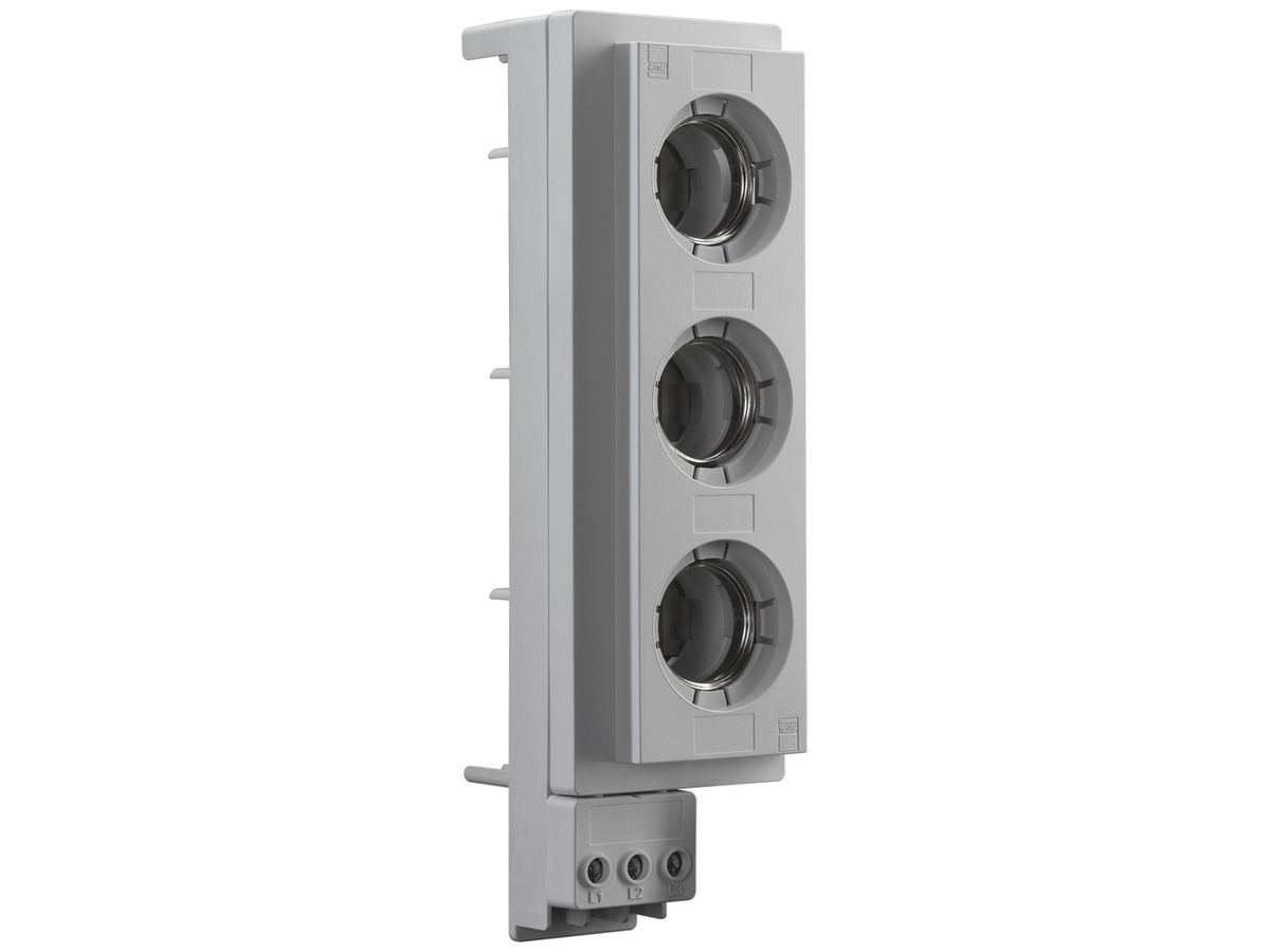 Sicherungselement Rittal SV 3433.040 für DIII 3P 690V 63A 1.5…16mm² 5Stk