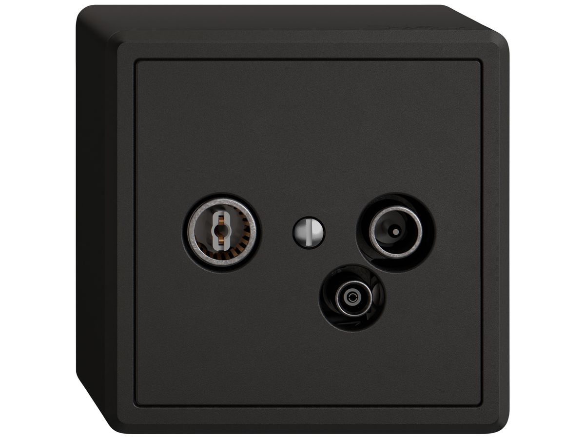AP-Antennendose TV-R-Daten EDIZIO.liv SNAPFIX® 11dB sz