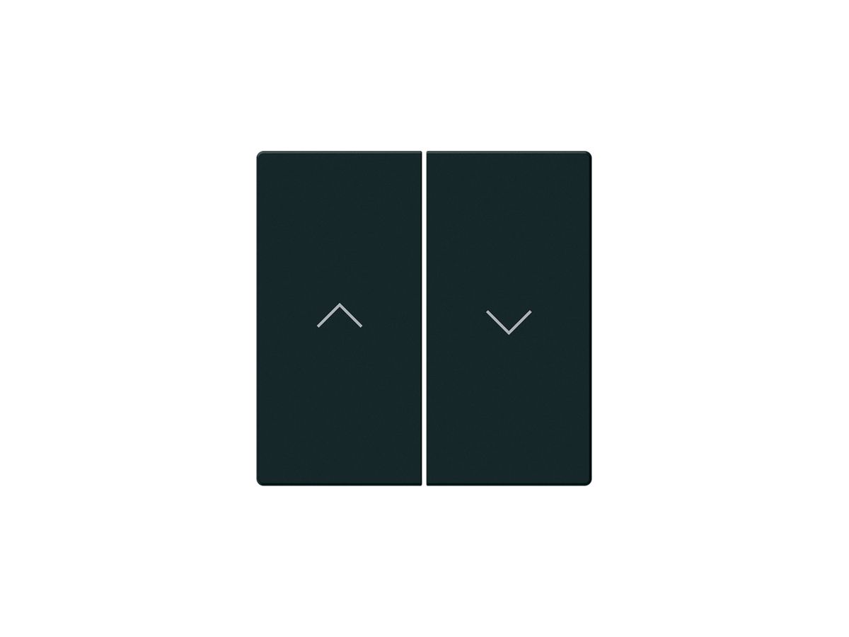 KNX-Storentasterfront Hager BA basico Z 2-fach schwarz