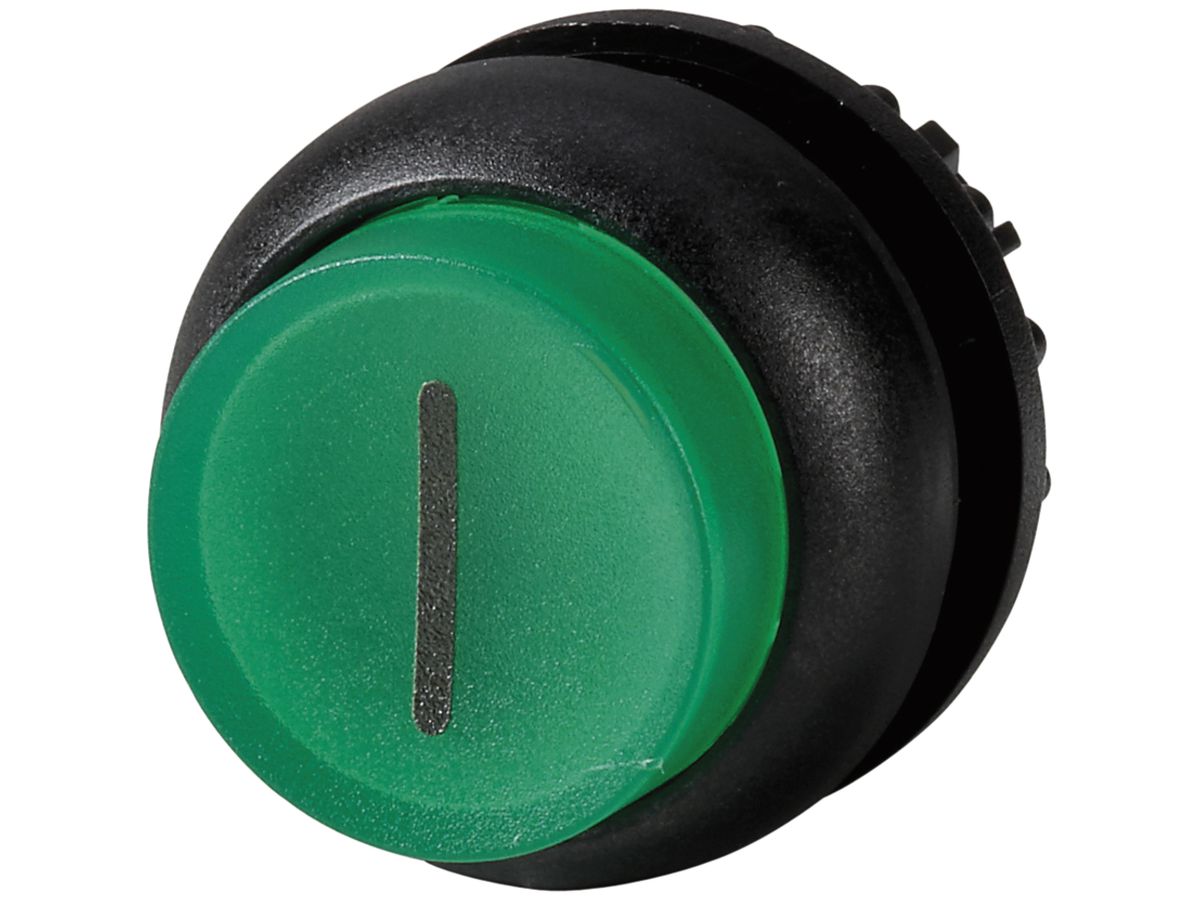 Leucht-Drucktaste ETN RMQ hoch grün I, rastend, Ring schwarz