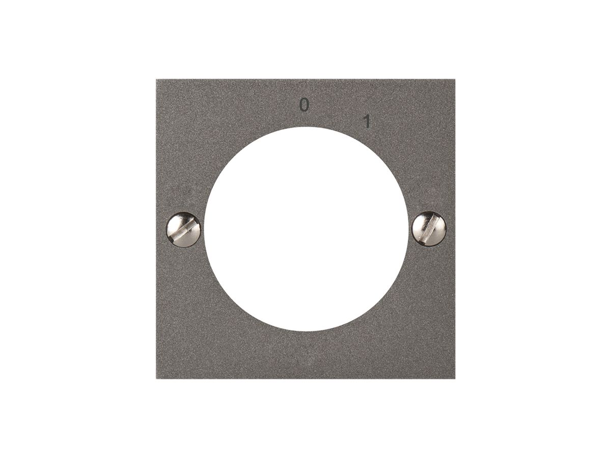Frontplatte ATO für Schlüsseltaster 0-1 magnesium