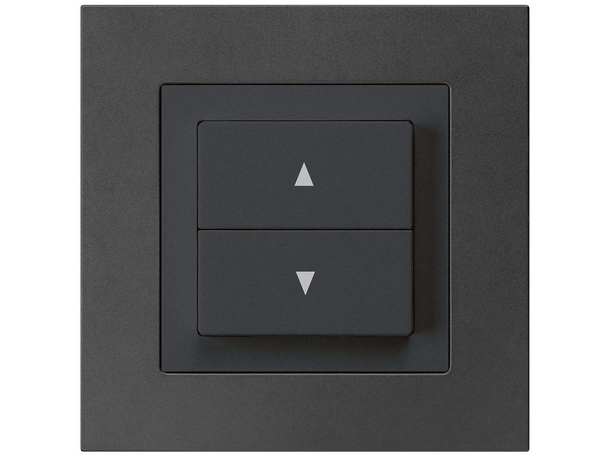 UP-Storentaster kallysto.pro schwarz mit 2 Funktionstasten Steckklemme
