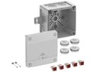 AP-Abzweigdose Spelsberg Abox Pro 040 AB-4² 102×102×70mm IP69 gu
