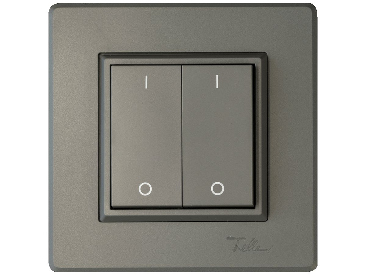 AP-Funktaster ALADIN EnOcean EDIZIO.liv 4K/2T I/O batterielos dunkelgrau