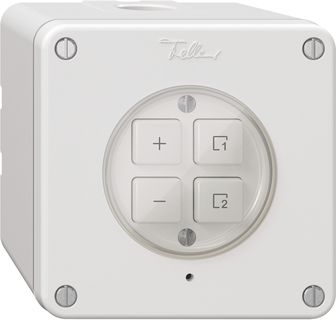 AP-Nebenstelle 1K/4T zu Dimmer Szene NEVO Wiser weiss