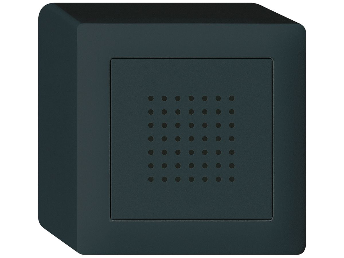 AP-Türgong kallysto 12V schwarz