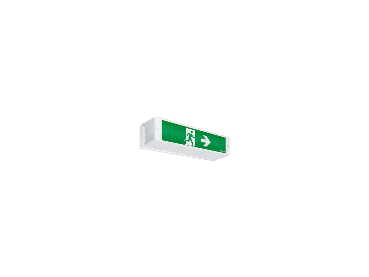Notleuchte ESYLUX SLA LEDi SC, 30×LED, 352×114×90mm