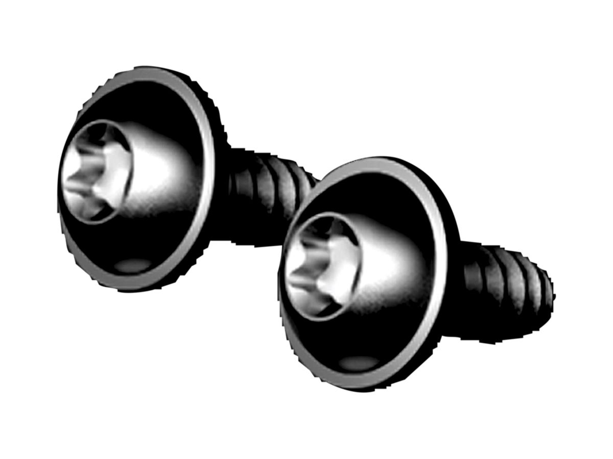 Schraube RiLineX RX 9365.001 50Stk