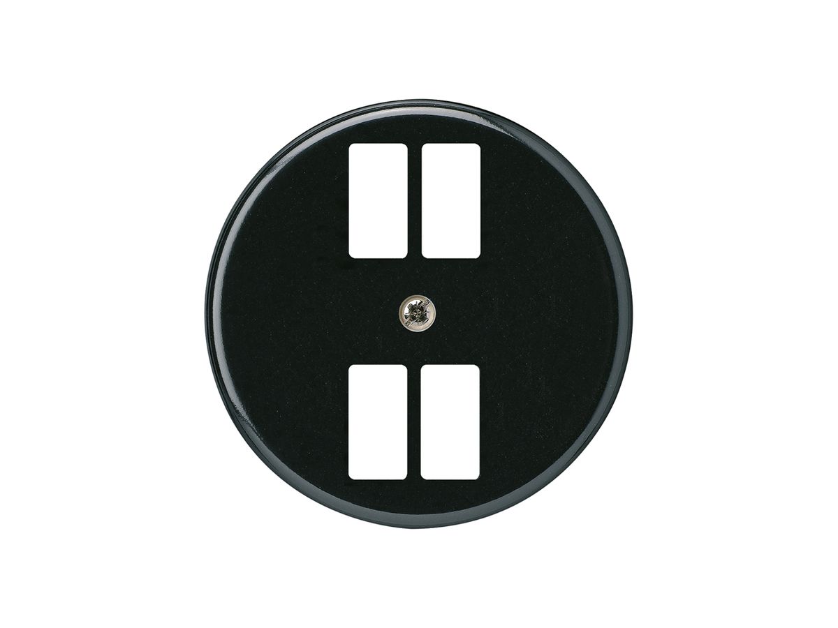 Frontscheibe basico H f.Steckdose 4×USB schwarz