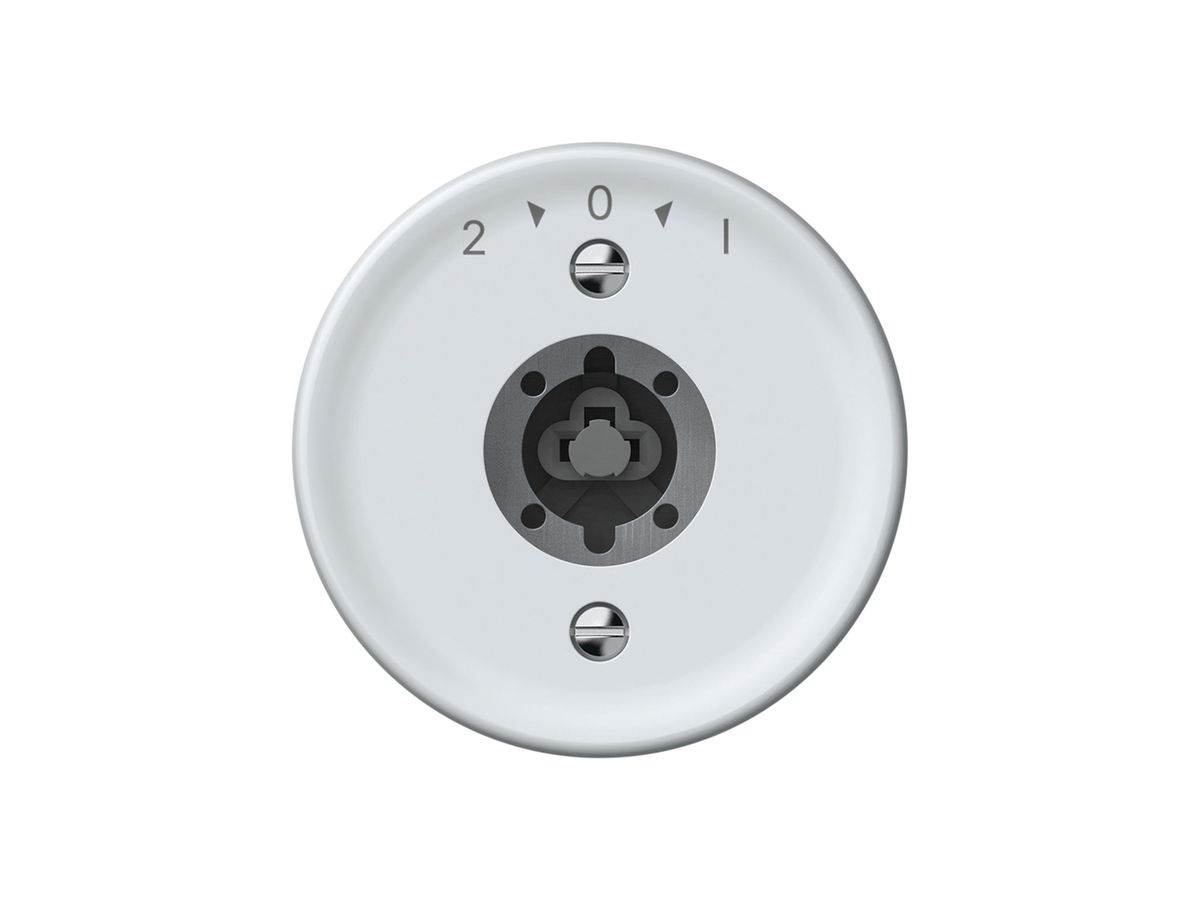 Schwenktaster origin ohne Zylinder 1P 2>0<1 10A 230V 60×60mm weiss
