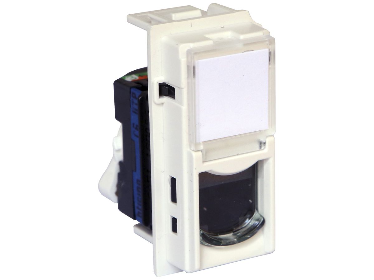 Datendose Living Now Kategorie 6 UTP 1 Modul weiss