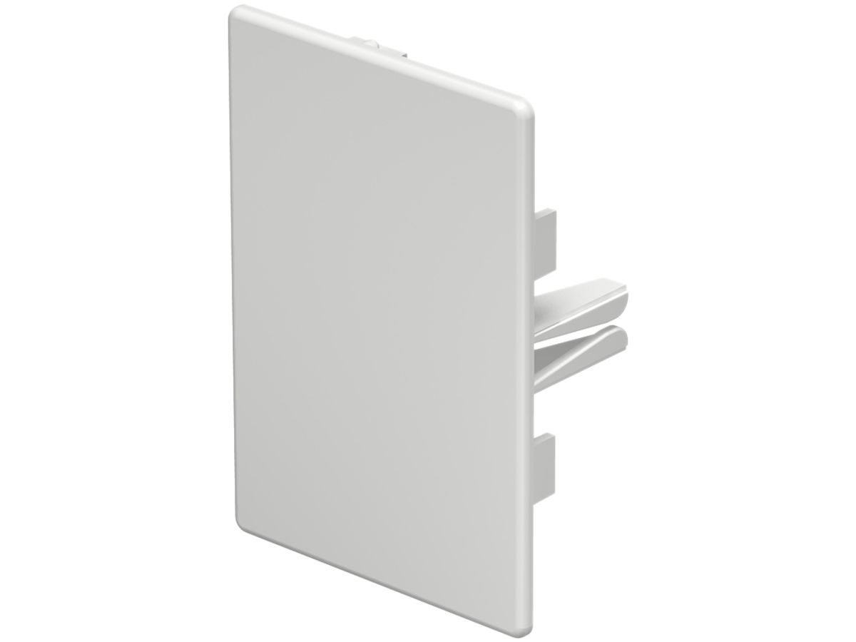 Abschlussplatte Bettermann zu Installationskanal WDK reinweiss 60×90mm