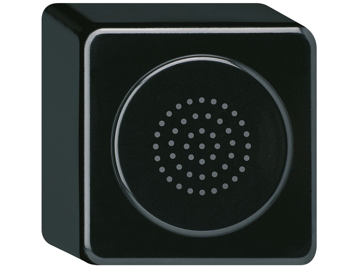 AP-Türgong basico 12V schwarz