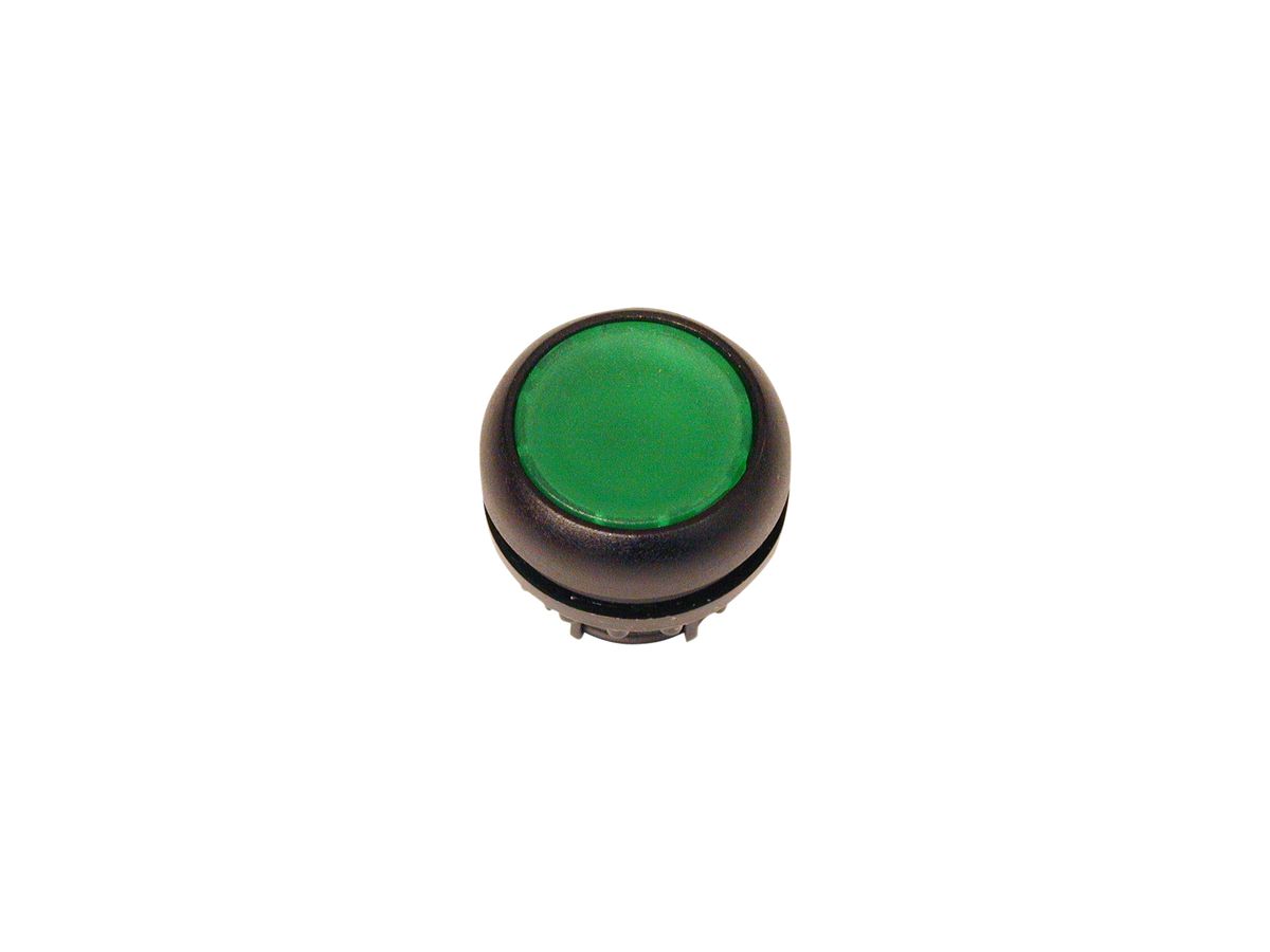 Drucktaste ETN RMQ flach grün, rastend, Ring schwarz