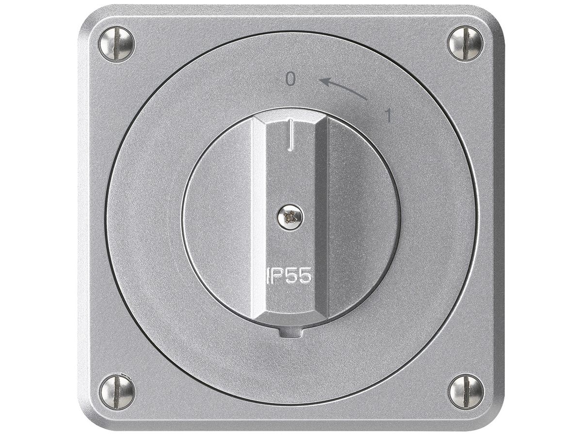 UP-Schwenktaster robusto IP55 aluminium 2P für Kombination