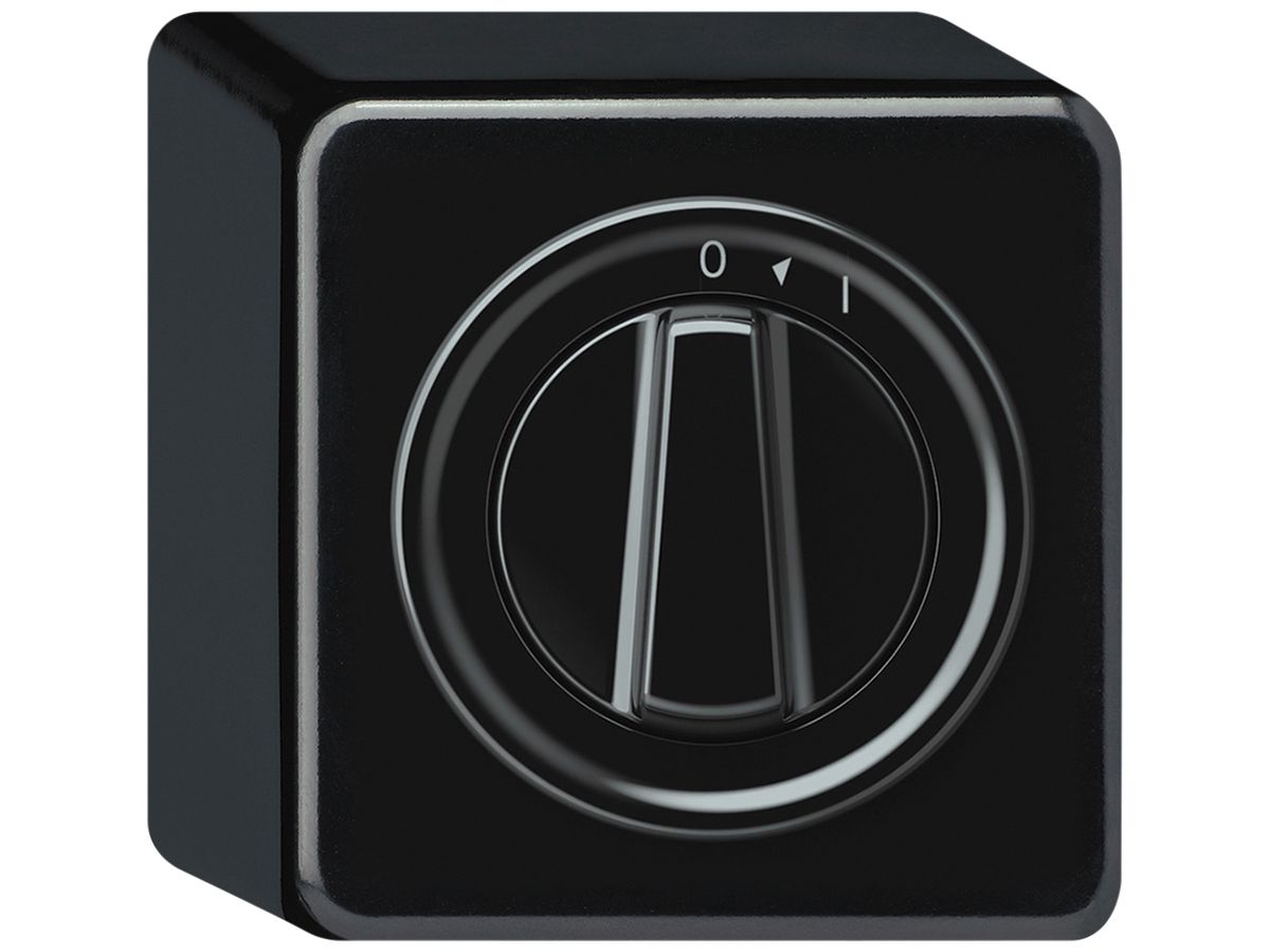 AP-Schwenktaster origin 1P 0<1 1P 0<1 10A 230V 88×88×54mm schwarz