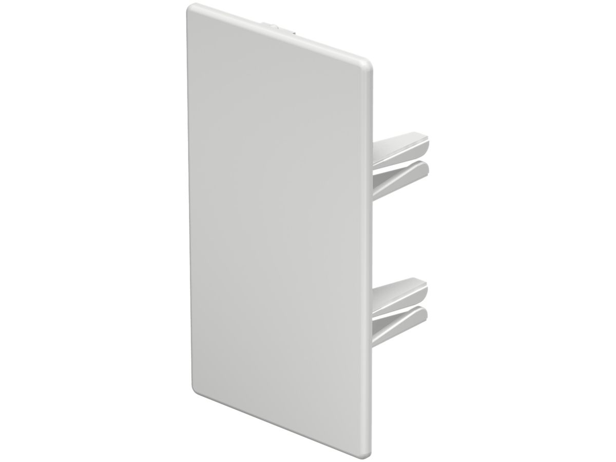 Abschlussplatte Bettermann zu Installationskanal WDK reinweiss 60×110mm