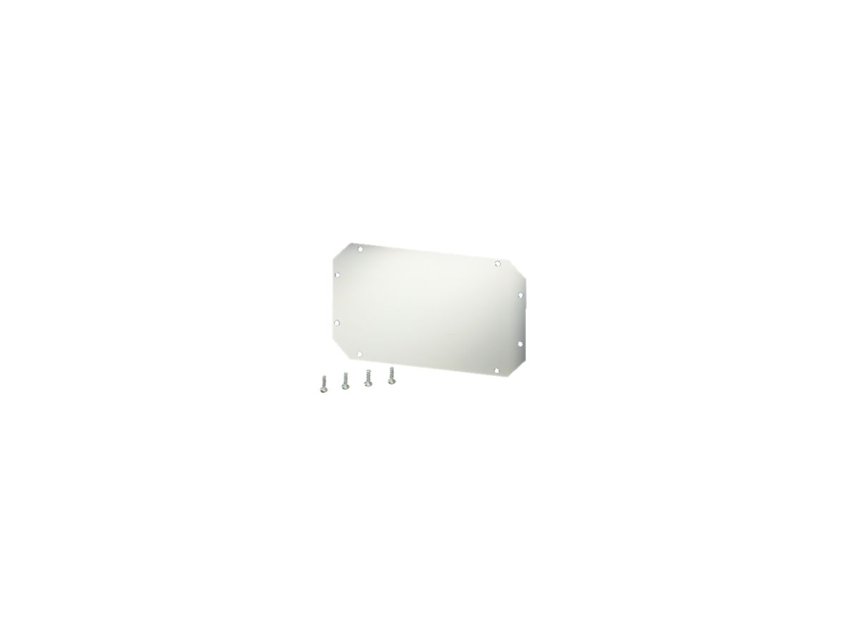 Montageplatte 126×216 Enystar zu App.-Gehäuse Gr.1, 2 und 3