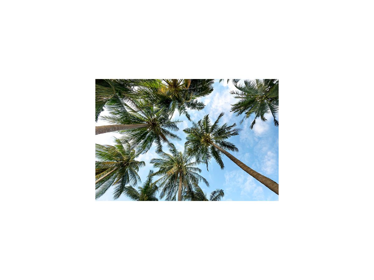 Motivplatte DOTLUX SKYLIGHT Motiv 4 für EB-Panel Raster 1×1 für 620×620