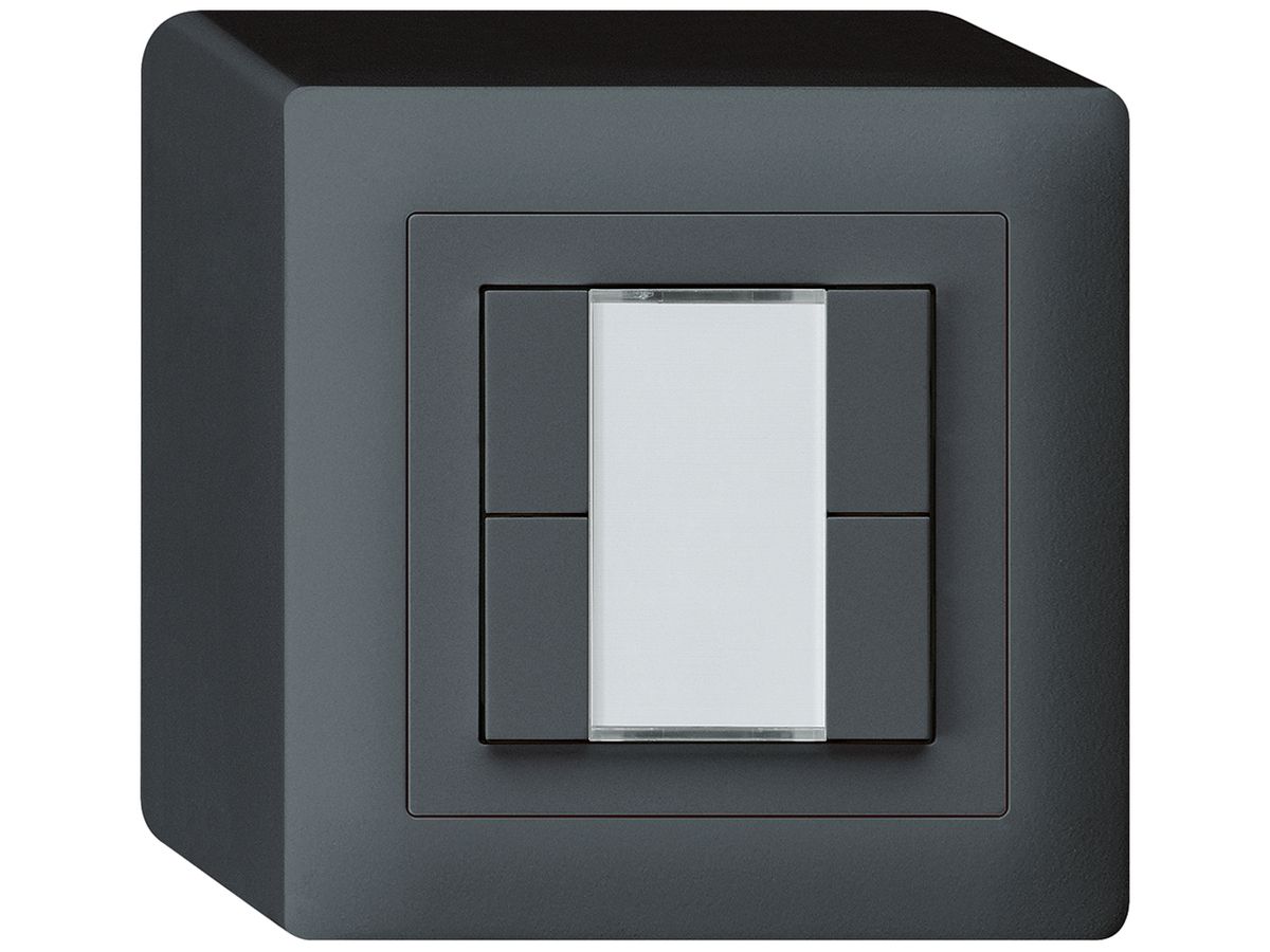 AP-Taster kallysto KNX 4×anthrazit s/e-link