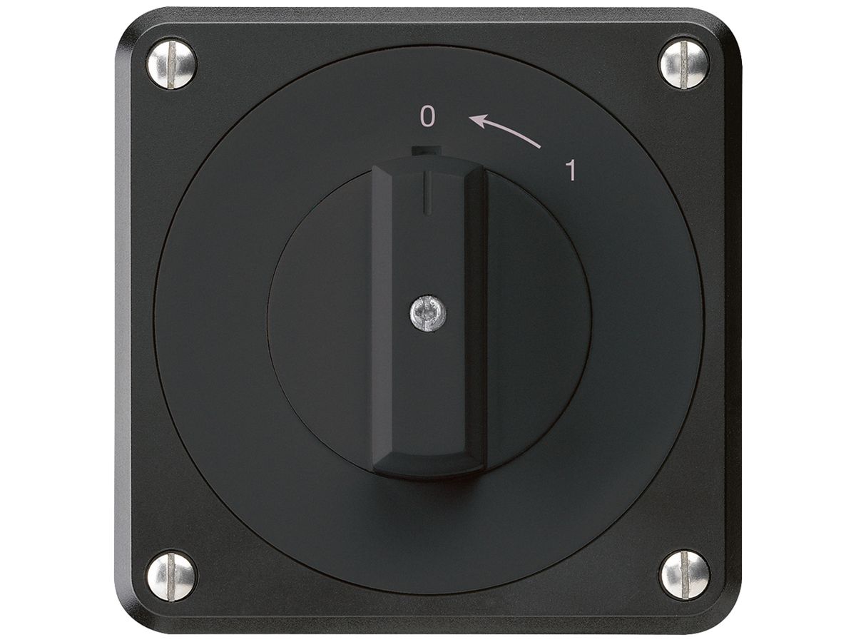 UP-Schwenktaster robusto IP55 schwarz 1P
